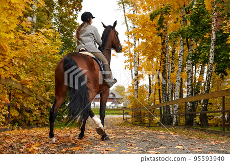 Cowgirl in a cowboy hat rides a horse on the background of the forest. Motion blur effect. 95593940