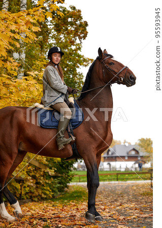 Portrait of a pretty young woman with a brown horse riding autumn day Portrait of a pretty young woman with a brown horse riding autumn day 95593945