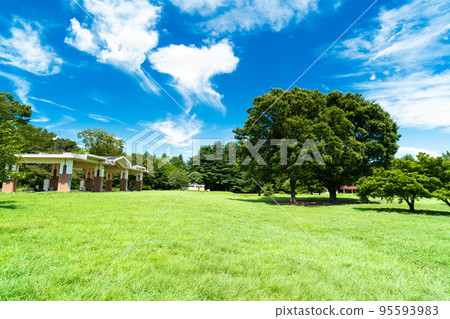 Tokyo Summer Hikarigaoka Park Tokyo Summer Hikarigaoka Park 95593983