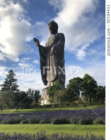Ushiku Daibutsu and blue salvia flower fields rising in the blue sky Ushiku Daibutsu and blue salvia flower fields rising in the blue sky 95594431