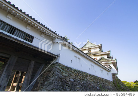 Wakayama Castle 95594499