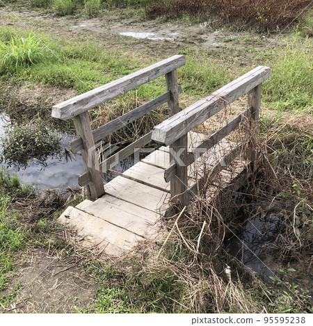 A small wooden bridge entwined with dry grass over a stream in autumn A small wooden bridge entwined with dry grass over a stream in autumn 95595238