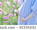 上個月孕婦的花和肚子 95595692