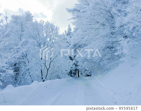 被雪覆蓋的山路 95595817