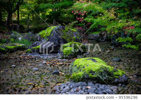公園裡的花園 公園裡的花園 95596296