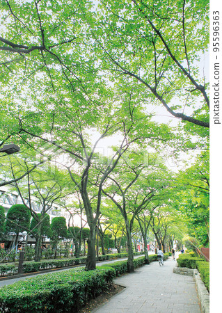Katsushika Ward Ward Office Street Katsushika Ward Ward Office Street 95596363