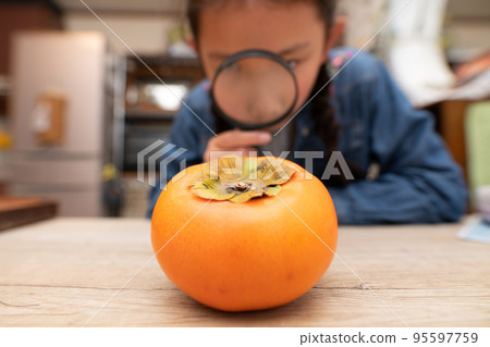 一個孩子用放大鏡看柿子 95597759