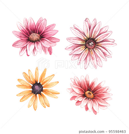 Watercolor set of autumn flowers on a white background Watercolor set of autumn flowers on a white background 95598463