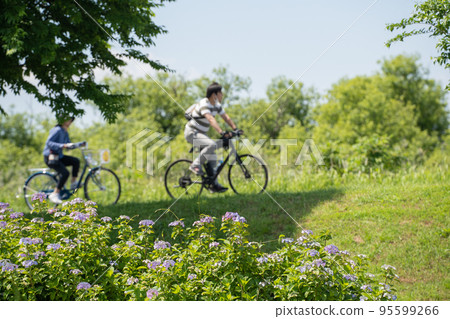 Ride the Teganuma cycling road in early summer with your family 95599266