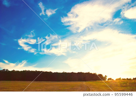 beautiful landscape 95599446