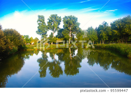 beautiful pond 95599447