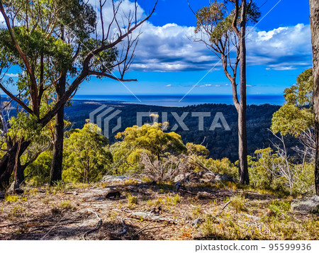 Bay of Fires Trail in Tasmania Australia Bay of Fires Trail in Tasmania Australia 95599936