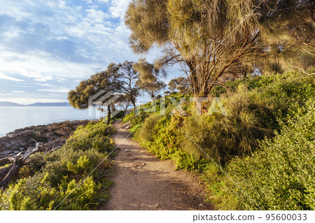 Loontitetermairrelehoiner Track in Swansea Tasmania Australia 95600033