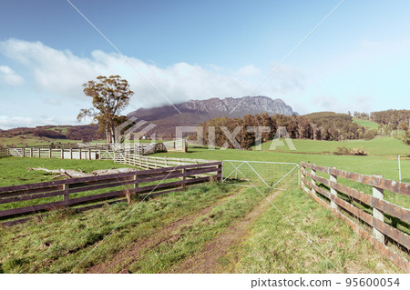 Mt Roland near Sheffield in Tasmania Australia 95600054