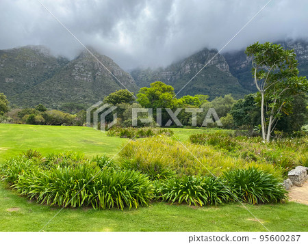 Kirstenbosch botanical gardens in spring, Cape Town, South Africa Kirstenbosch botanical gardens in spring, Cape Town, South Africa 95600287