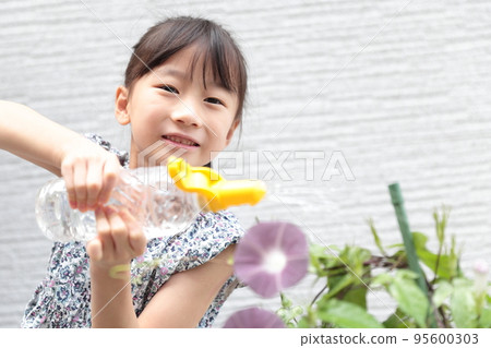 Elementary school girl cultivating morning glory 95600303