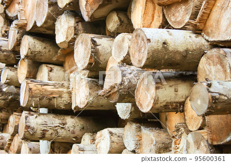 stack of the firewood stack of the firewood 95600361