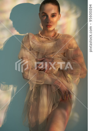 Sexy model in transparent dress. Sexy model in transparent dress. 95600894