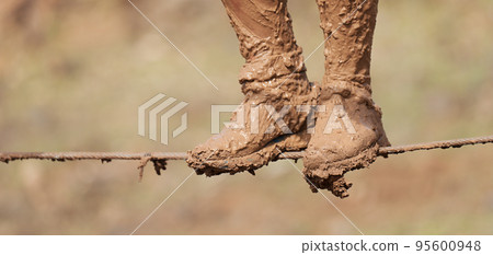 Mud race runners, overcoming an obstacle on a steel rope 95600948
