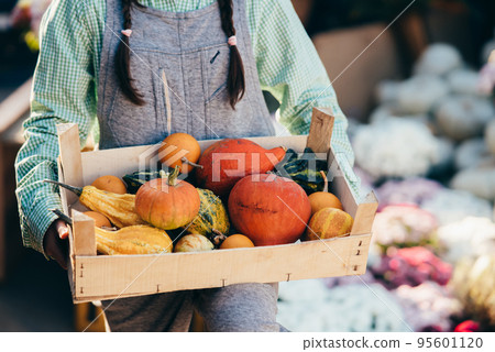 Female farmer carries a wooden box for small pumpkins Female farmer carries a wooden box for small pumpkins 95601120
