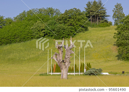 Oak Tree Landmark Oak Tree Landmark 95601490