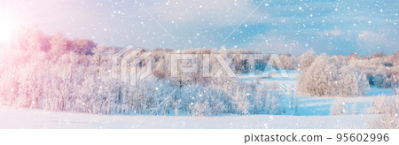 Panoramic view of the white snowy trees in natural park 95602996