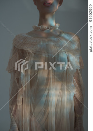 Sexy model in transparent dress. 95602999