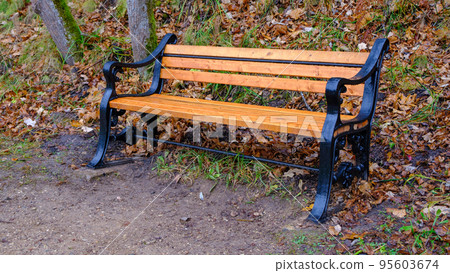 Elegant park bench with decorative metal elements on the sides. Late autumn October Latvia. Elegant park bench with decorative metal elements on the sides. Late autumn October Latvia. 95603674