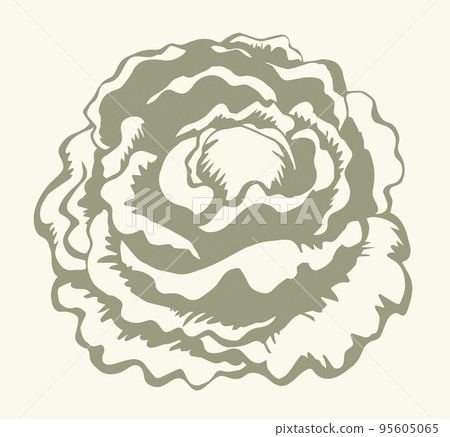 Cabbage. Vector drawing icon sign Cabbage. Vector drawing icon sign 95605065