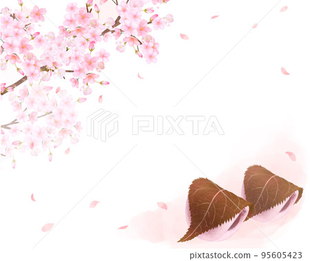 Cherry tree and petals-Japanese style illustration set of pink kashiwa mochi-hand-drawn material 95605423