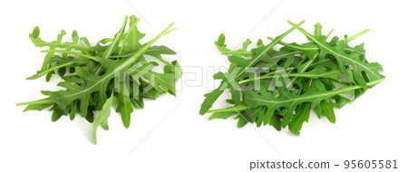 Heap of Green fresh rucola or arugula leaf isolated on white background 95605581