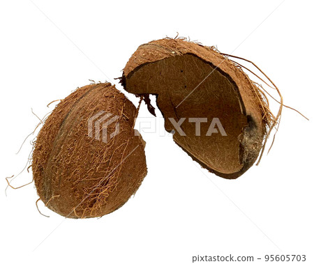 Coconut empty shells isolated on white background. Coconut empty shells isolated on white background. 95605703