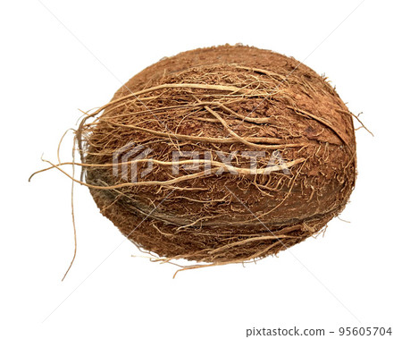 Coconut isolated on white background. Coconut isolated on white background. 95605704