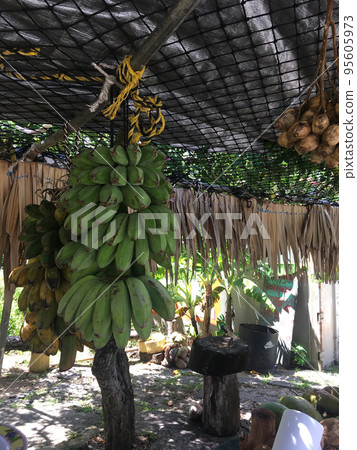 A stall lined with fruits 95605973