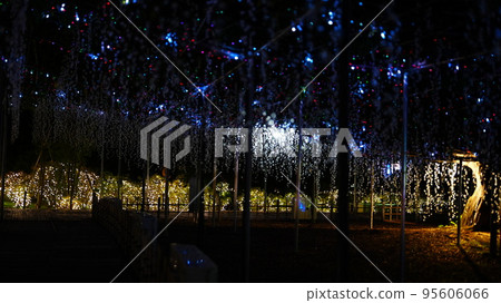 足利花卉公園夜景 足利花卉公園夜景 95606066