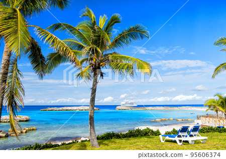 green palm tree on sunny beach 95606374