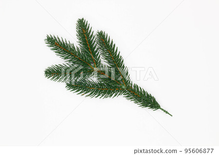 Christmas tree branch on white background. Isolated. New Year Fir branch. Christmas decoration. Design element Spruce for Holiday posters, wallpapers, postcards. Festive attributes. Top view. Close-up Christmas tree branch on white background. Isolated. New Year Fir branch. Christmas decoration. Design element Spruce for Holiday posters, wallpapers, postcards. Festive attributes. Top view. Close-up 95606877