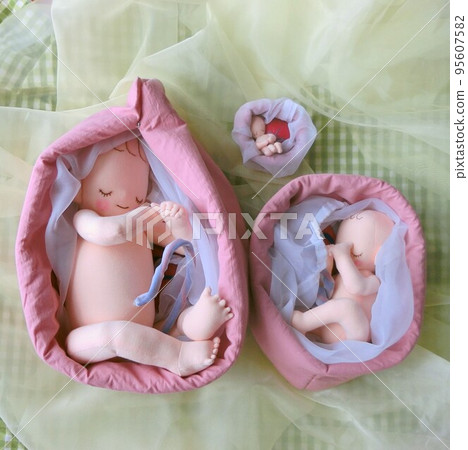 Life-size, easy-to-understand early, middle, and late pregnancy fetus dolls Life-size, easy-to-understand early, middle, and late pregnancy fetus dolls 95607582