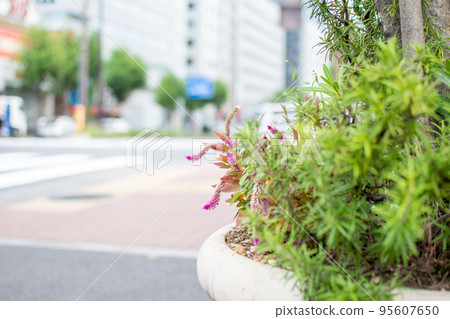 神樂坂下十字路口/東京都新宿區 95607650