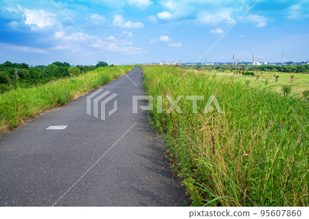夏季從西湖公園附近的河岸沿荒川河景觀 95607860