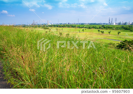 Landscape along the Arakawa River from the bank near Saiko Park in the summer season 95607903