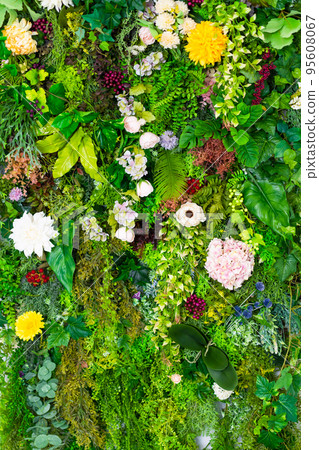 花牆 綠牆 花牆 95608067