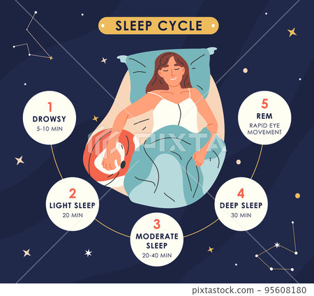 Sleep cycles infographic, nighttime resting...-插圖素材 [95608180] - PIXTA圖庫