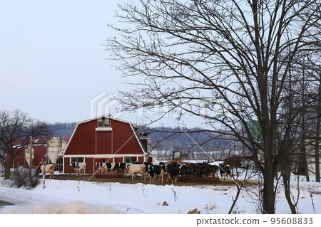 Scenery with farms in the Tokachi region of Hokkaido 95608833