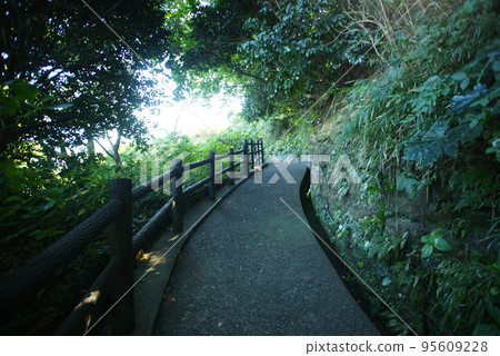 通往觀音崎燈塔的上坡路 95609228