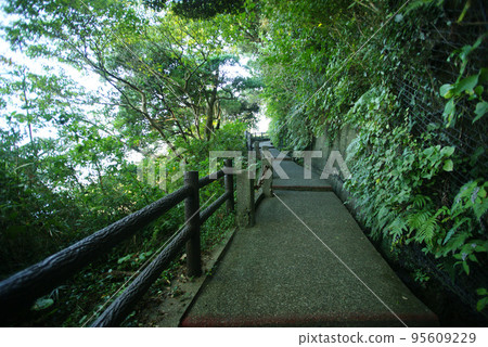 Uphill road to Kannonzaki lighthouse 95609229