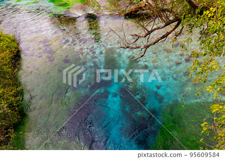 Blue Eye spring , more than fifty metre deep natural pool with clear, fresh water, near Sarande in Vlore Country in southern Albania 95609584
