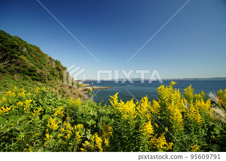 觀音台的觀音崎公園風景 95609791