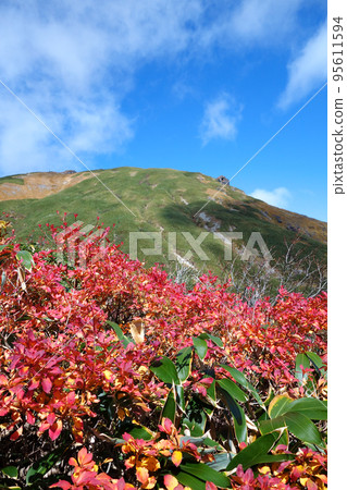 谷川岳登山路線的景色 谷川岳登山路線的景色 95611594