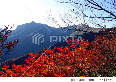 谷川岳登山路線的景色 95611660